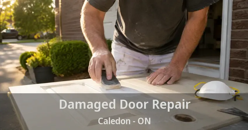 Damaged Door Repair Caledon - ON