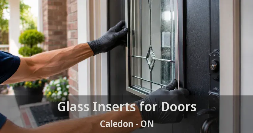 Glass Inserts for Doors Caledon - ON