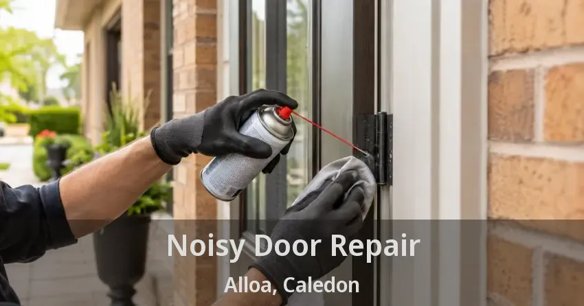 Noisy Door Repair Alloa, Caledon - ON