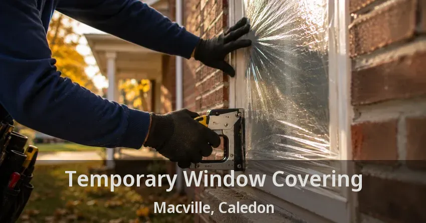 Temporary Window Covering Macville, Caledon - ON